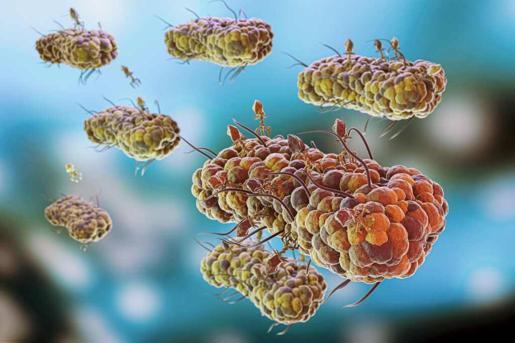 Infeksionet Stafilokok: Diagnostikimi dhe trajtimi