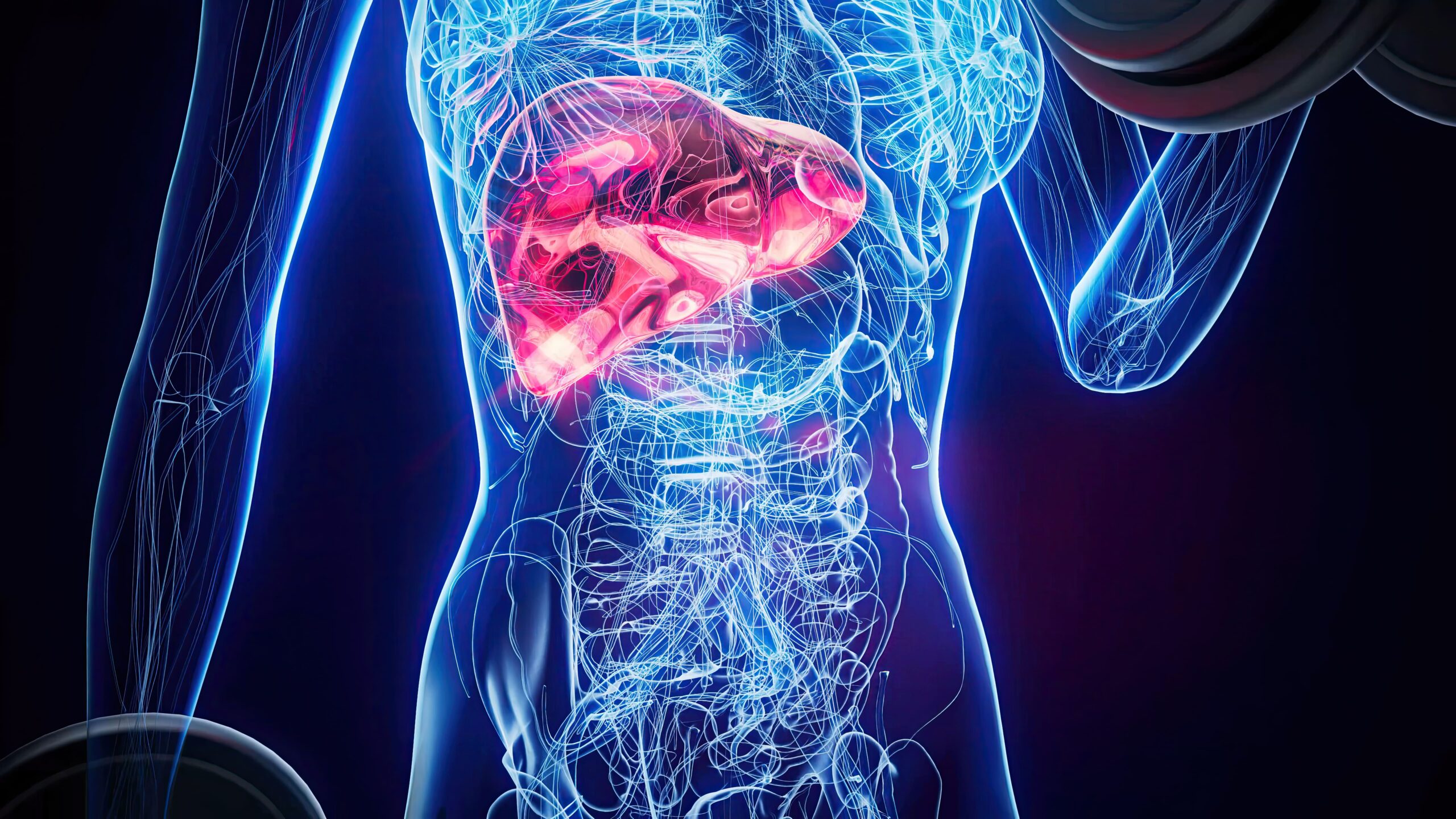 Mëlçia: Patologjitë dhe Trajtimet